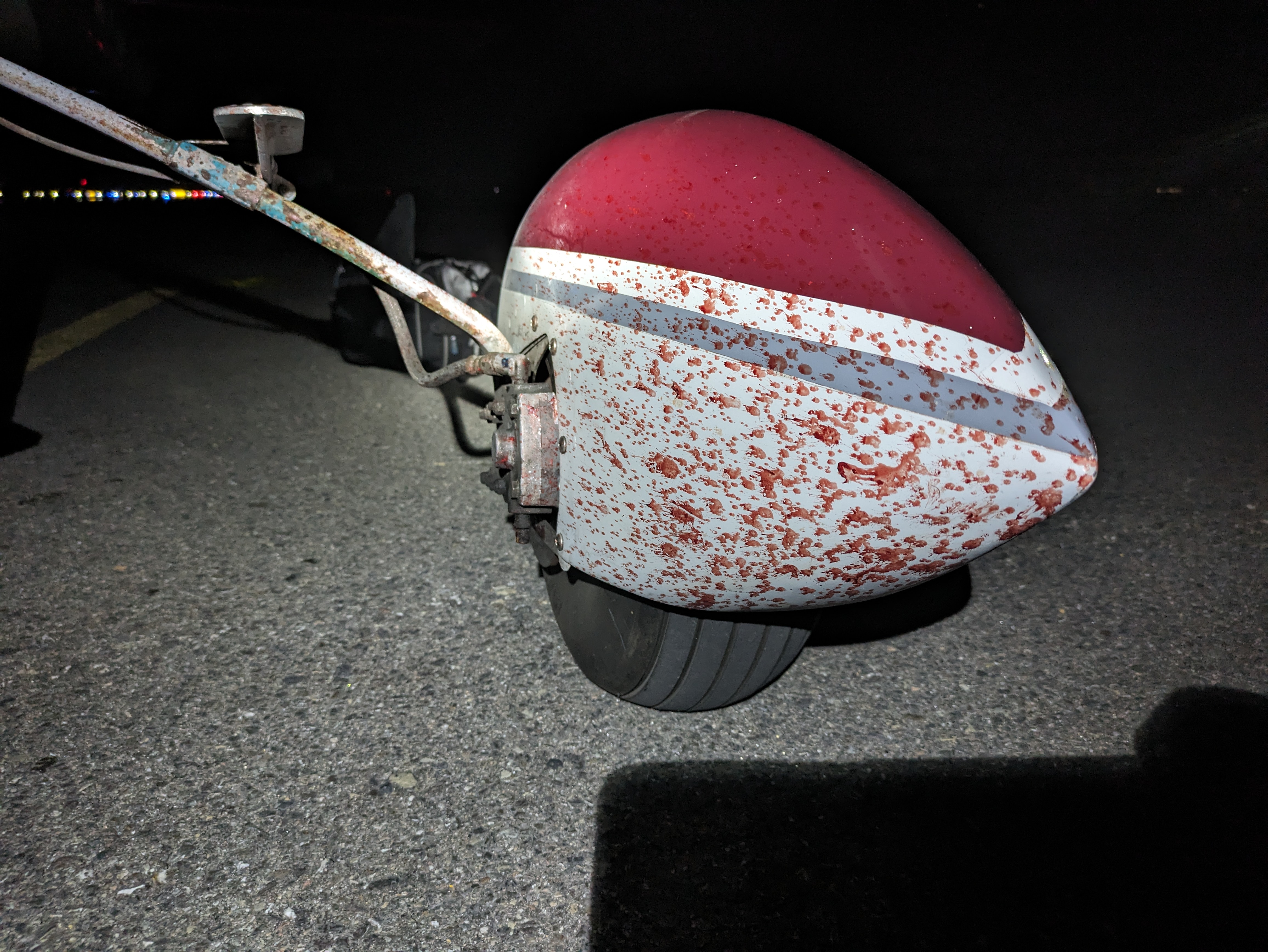 Bird Strike Evidence