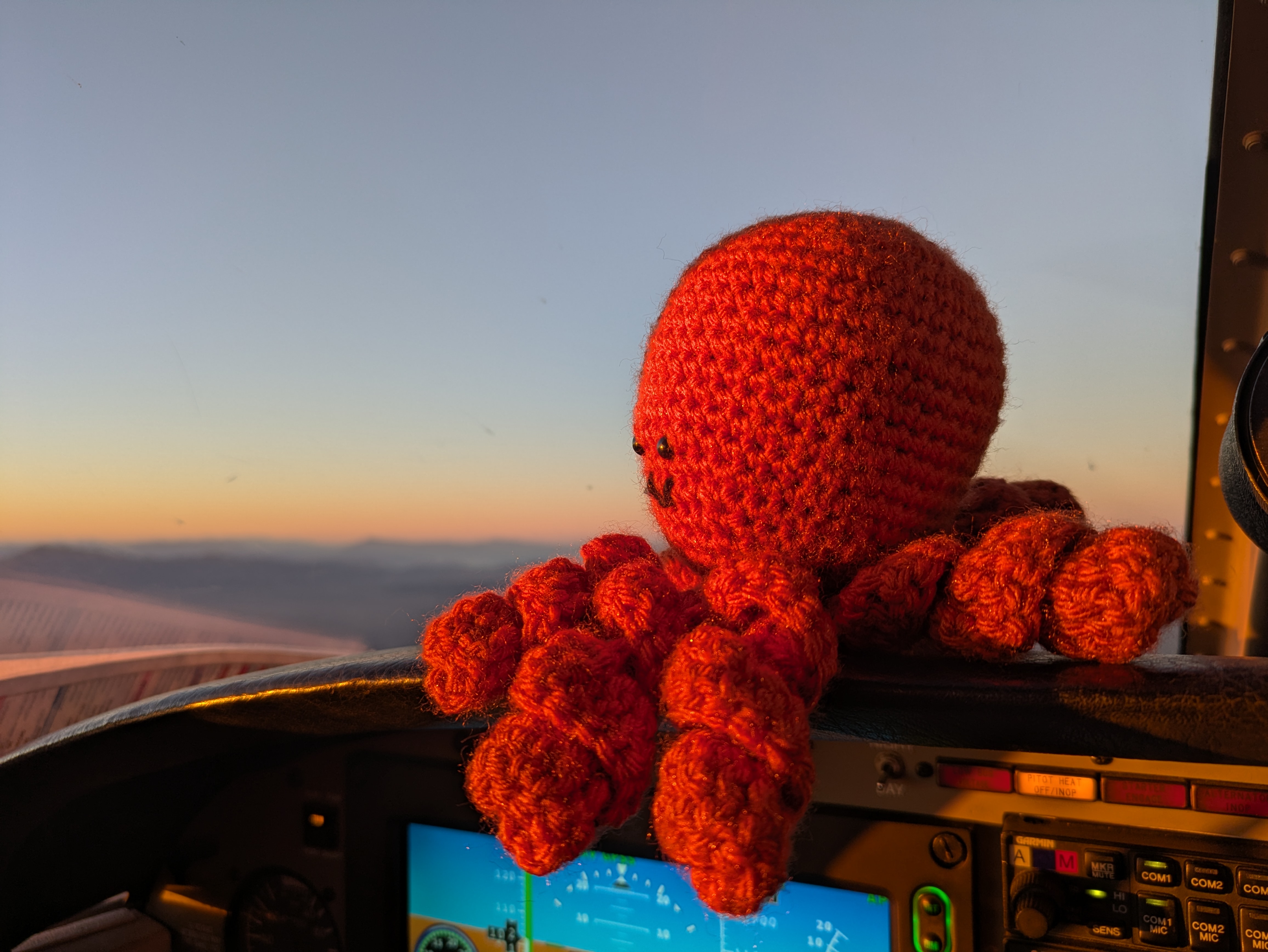 Co-Pilot Legs